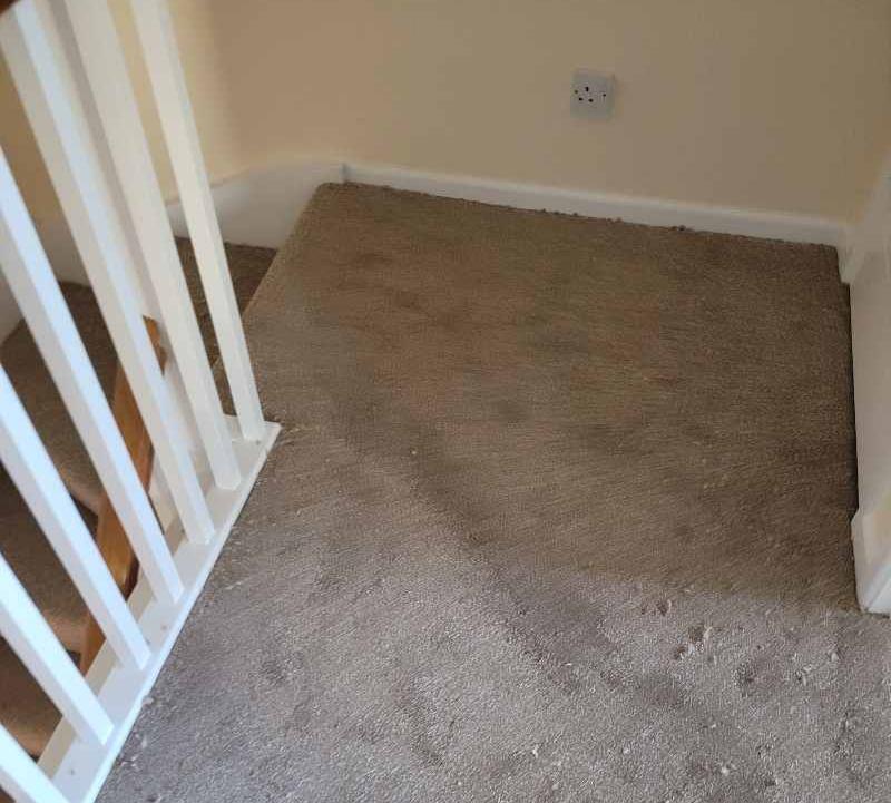 carpet fitting