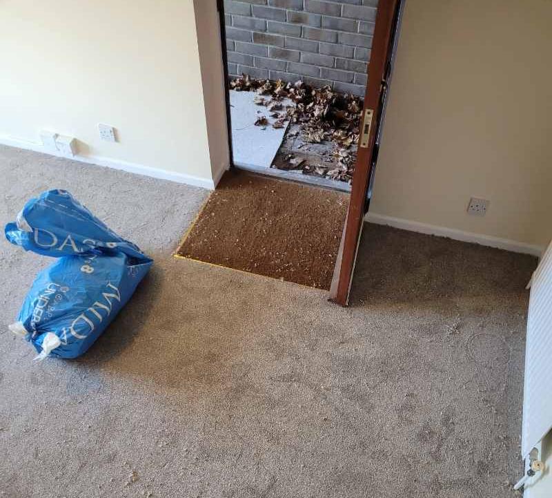 carpet fitting